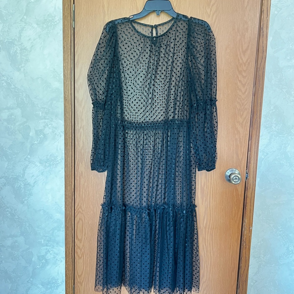 Elegant Black Sheer Polka Dot Dress